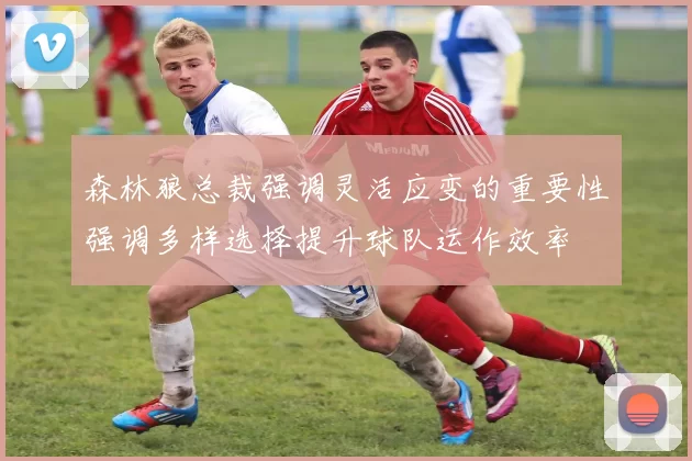 森林狼总裁强调灵活应变的重要性强调多样选择提升球队运作效率