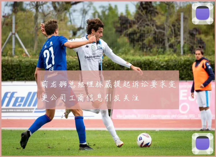 前龙狮总经理林葳提起诉讼要求变更公司工商信息引发关注